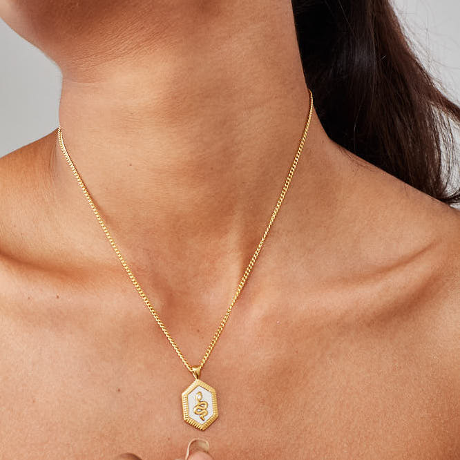 Zirconia Snake Necklace: 18K Gold Plated